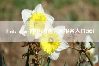 平阳中国消防官网报名入口2024