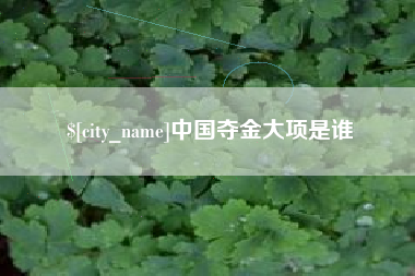 平阳中国夺金大项是谁