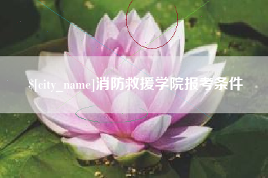 平阳消防救援学院报考条件
