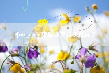 平阳中国队拿几块金牌了
