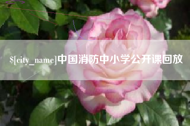 平阳中国消防中小学公开课回放