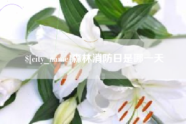 平阳森林消防日是哪一天