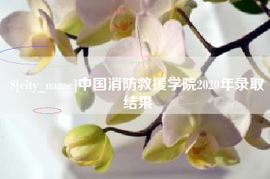 平阳中国消防救援学院2020年录取结果
