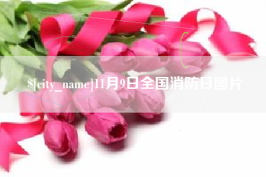 平阳11月9日全国消防日图片