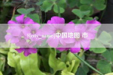 平阳中国地图 市