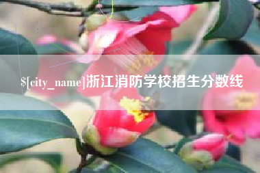 平阳浙江消防学校招生分数线
