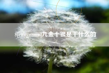平阳九金十银是干什么的