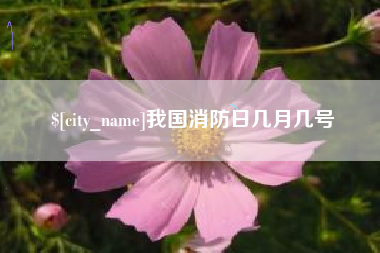 平阳我国消防日几月几号