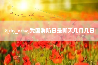 平阳我国消防日是哪天几月几日