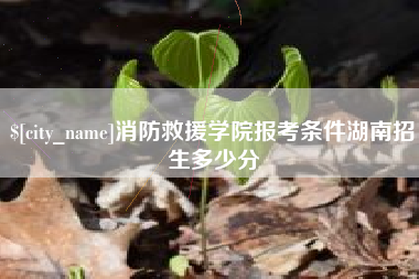 平阳消防救援学院报考条件湖南招生多少分