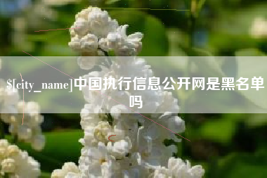 平阳中国执行信息公开网是黑名单吗