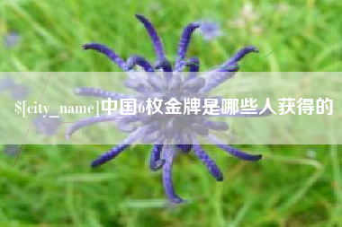 平阳中国6枚金牌是哪些人获得的
