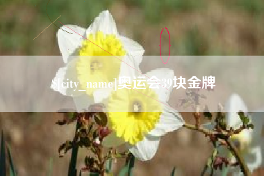 平阳奥运会39块金牌