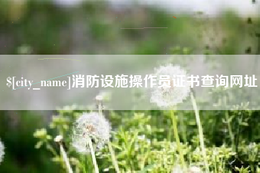 平阳消防设施操作员证书查询网址