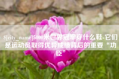平阳5000米世界冠军穿什么鞋-它们是运动员取得优异成绩背后的重要“功臣”