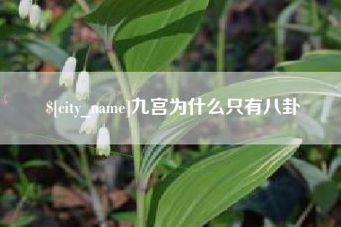 平阳九宫为什么只有八卦