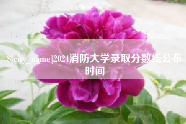 平阳2024消防大学录取分数线公布时间