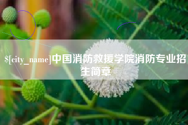 平阳中国消防救援学院消防专业招生简章