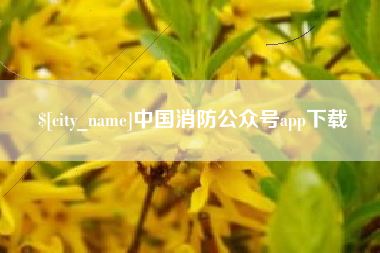 平阳中国消防公众号app下载