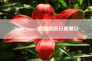 平阳我国消防日是哪日