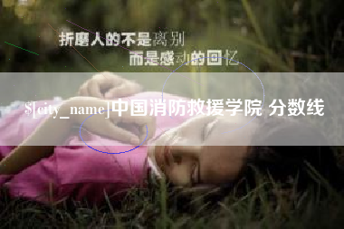 平阳中国消防救援学院 分数线