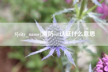 平阳消防ccc认证什么意思