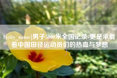 平阳男子5000米全国记录-更是承载着中国田径运动员们的热血与梦想