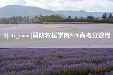 平阳消防救援学院2020高考分数线