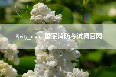平阳国家消防考试网官网