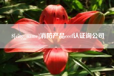 平阳消防产品cccf认证询公司