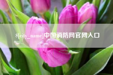 平阳中国消防网官网入口