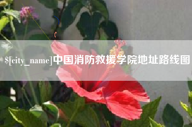 平阳中国消防救援学院地址路线图