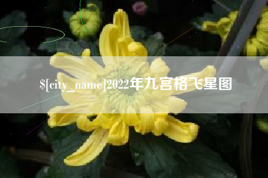 平阳2022年九宫格飞星图