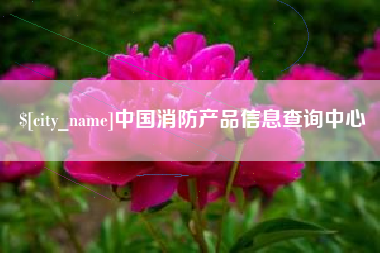 平阳中国消防产品信息查询中心