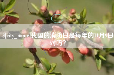 平阳我国的消防日是每年的11月9日对吗？