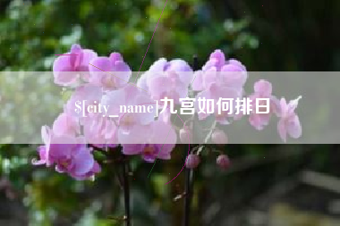 平阳九宫如何排日