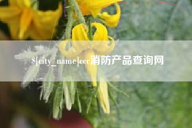 平阳ccc消防产品查询网