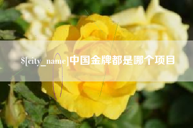 平阳中国金牌都是哪个项目