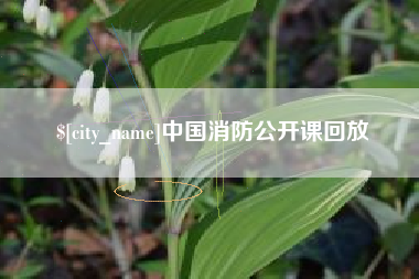 平阳中国消防公开课回放