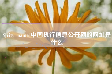平阳中国执行信息公开网的网址是什么