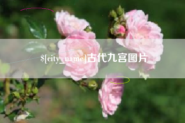 平阳古代九宫图片