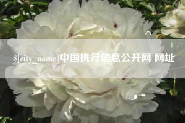 平阳中国执行信息公开网 网址