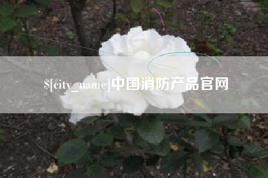 平阳中国消防产品官网