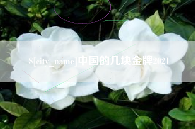 平阳中国的几块金牌2021