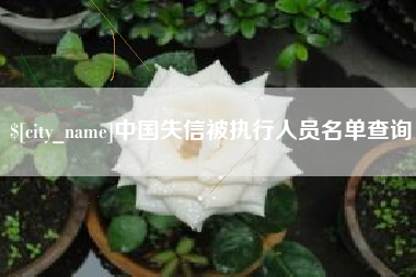 平阳中国失信被执行人员名单查询