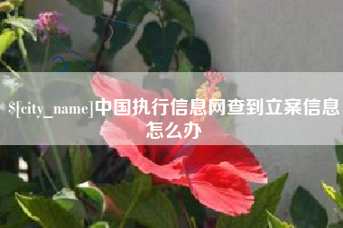 平阳中国执行信息网查到立案信息怎么办