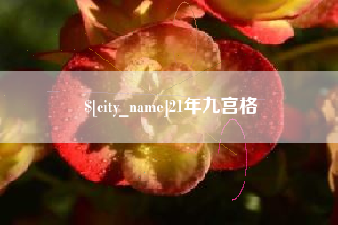 平阳21年九宫格