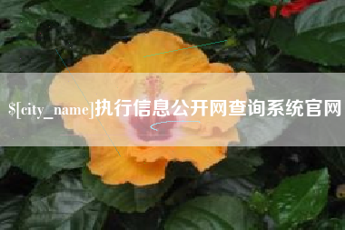 平阳执行信息公开网查询系统官网
