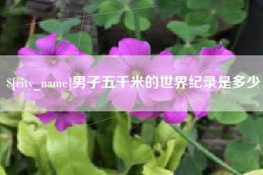 平阳男子五千米的世界纪录是多少