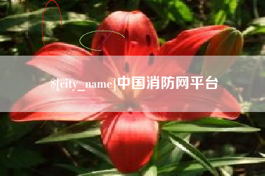平阳中国消防网平台